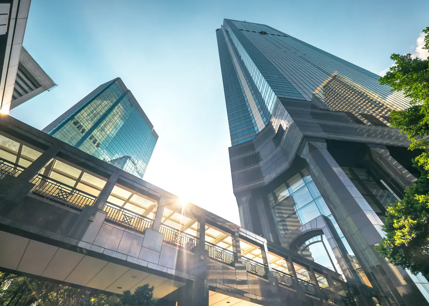 A footbridge between two glass towers in low sunlight